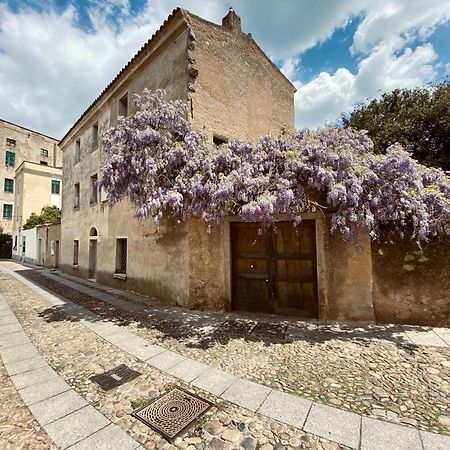 Carrales Guest House Νουόρο Εξωτερικό φωτογραφία